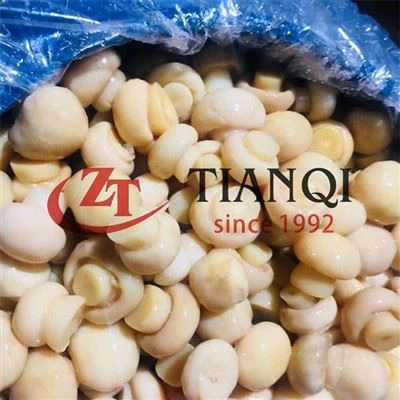 Funghi champignon in salamoia da 50 kg in fusti di plastica