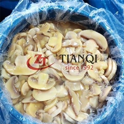 Fungo salato in tamburo di alta qualità