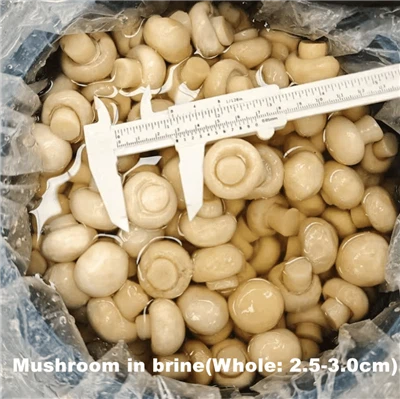 Funghi champignon interi in salamoia in fusto