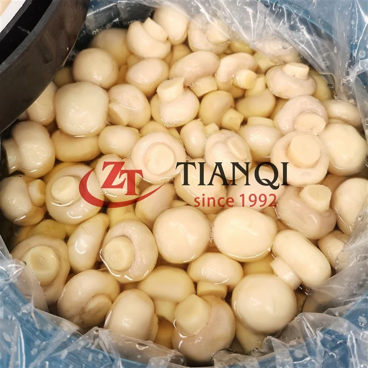 Whole Button Mushroom in Drums – Bulk Wholesale for Food Processing | Tianqi Foods