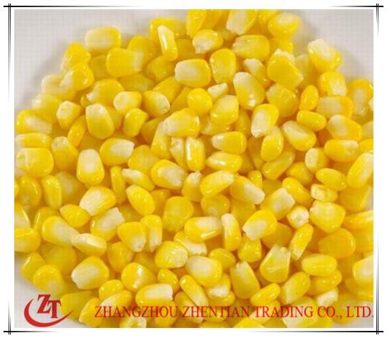 Ricette salutari per il mais in scatola