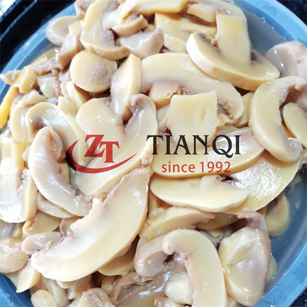 High Quality Of Sliced Champignon Button Mushroom In Brine In Drum